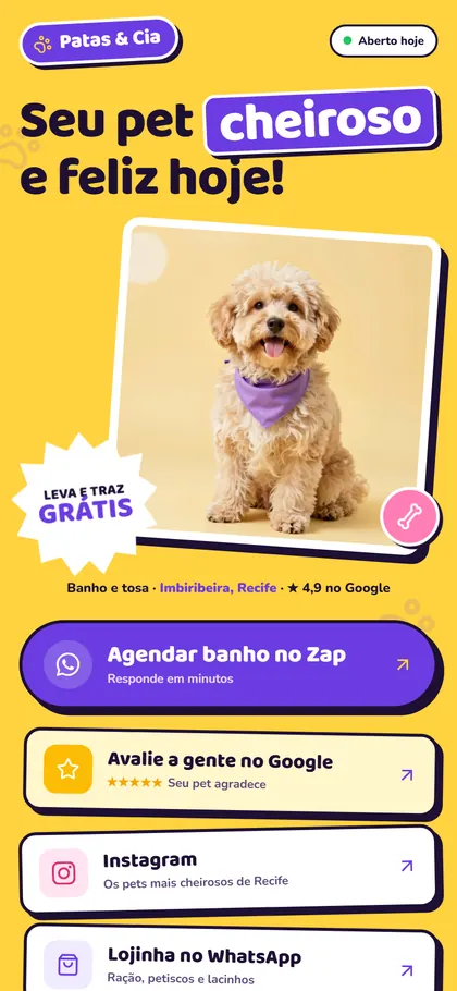 Estilo B14 Patas Pop — versão Bio X
