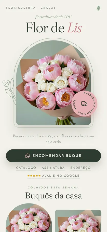Estilo B29 Botânica — versão Bio X