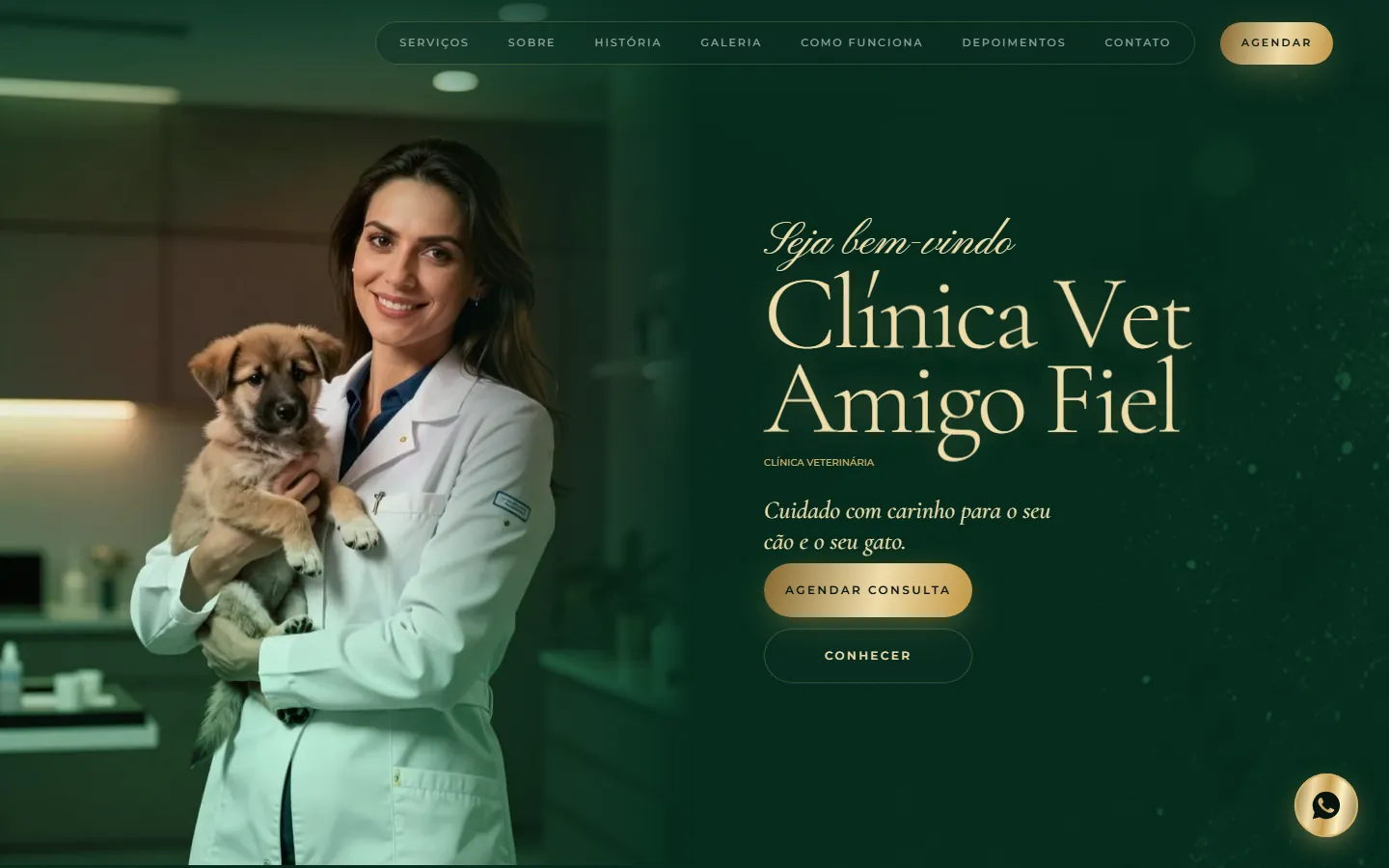 O site AcheMe de veterinário e pet no computador
